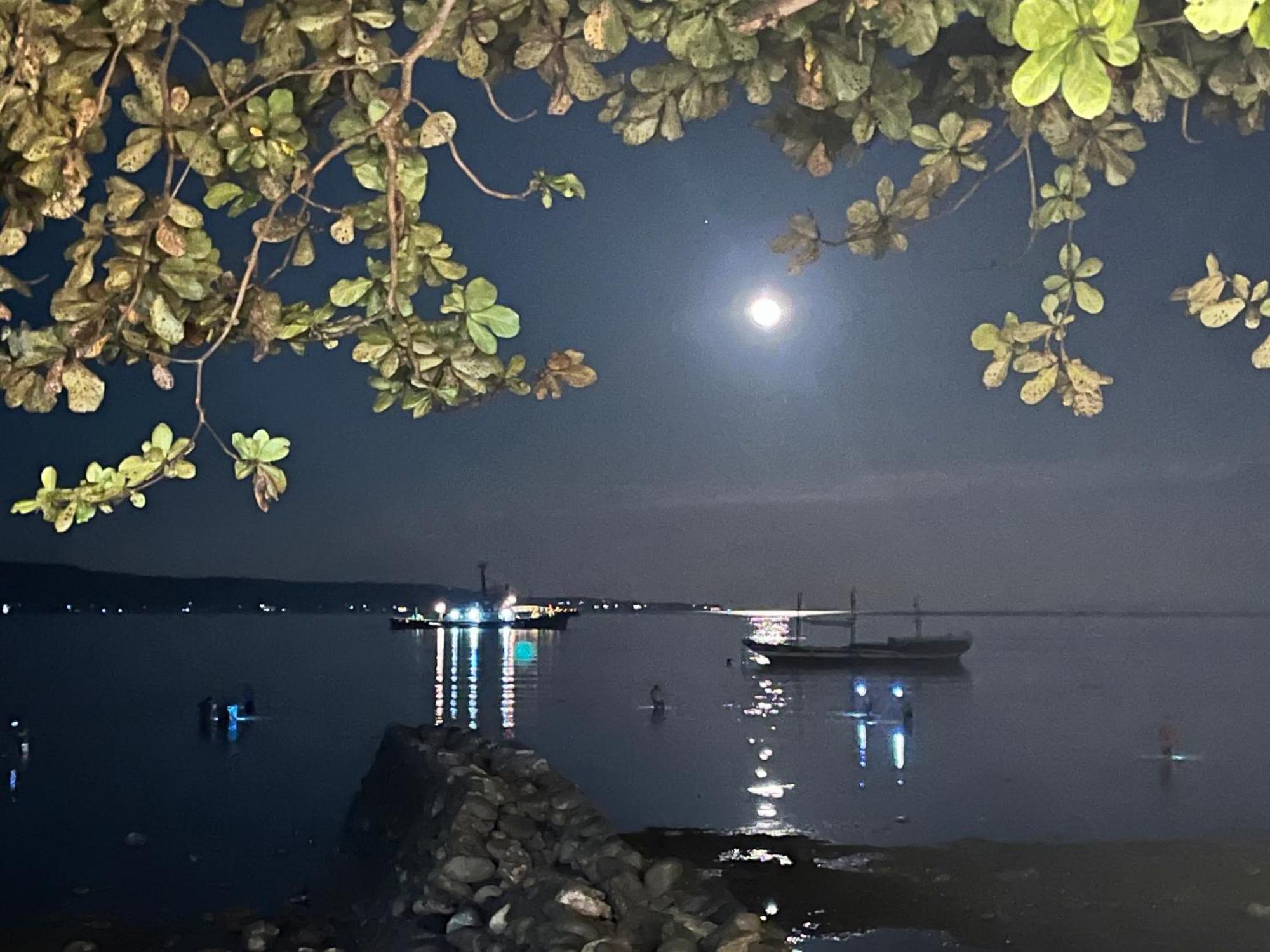 Boochee Beach Tampi ภายนอก รูปภาพ